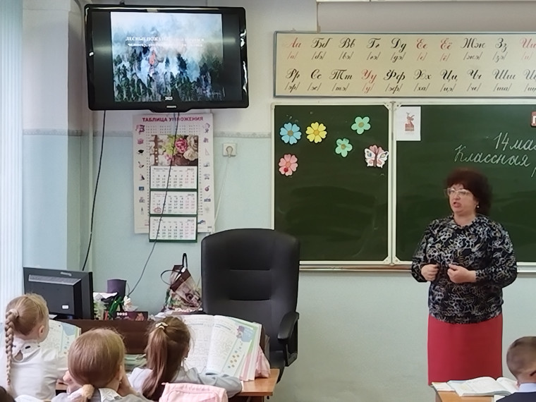 Профилактика лесных пожаров.